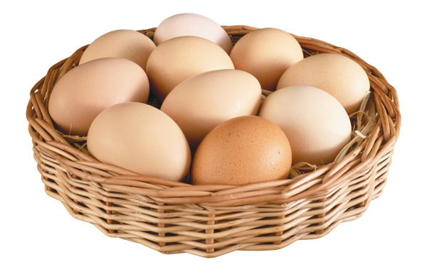 egg PNG24